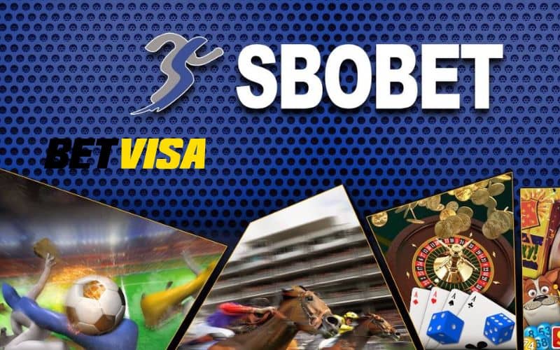 Sảnh Sbobet các bộ môn cá cược thể thao có tỉ lệ thưởng cao